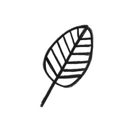 Minimalist hand-drawn single leaf outline illustration vector art