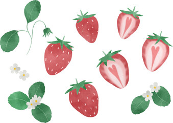 水彩風のかわいいイチゴのイラスト
