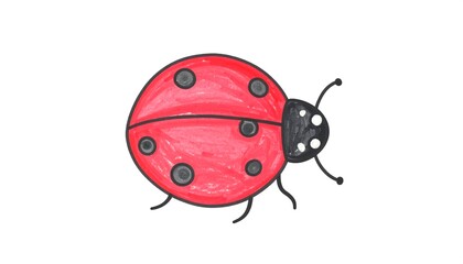 Obraz premium Cute Hand Drawn Ladybug Illustration.