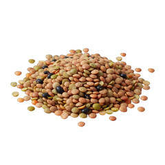 Heap of Mixed Dry Lentils and Beans with Various Colors and Textures on a Transparent White Background with Soft Studio Lighting