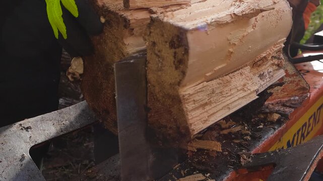 Large wooden log being split by a wood splitter machine in slow motion during a sunny autumn day with worker with gloves helping it to stand still. Sawdust and woodchips flying around in the sunshine.