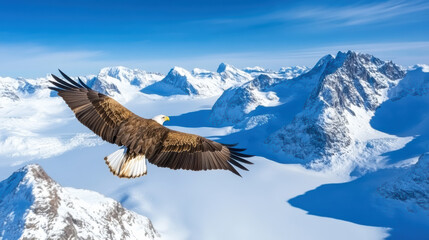 Fototapeta premium Eagle soaring above snow peaks tranquil cinematic