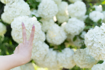 Peace Sign Hand with White Flowers①