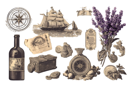 Vintage nautical and botanical elements isolated on transparent background - Powered by Adobe