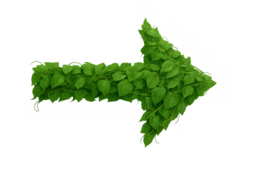 Green arrow pointing right representing environmental progress, growth, ecology, nature, sustainability, and eco-friendly direction