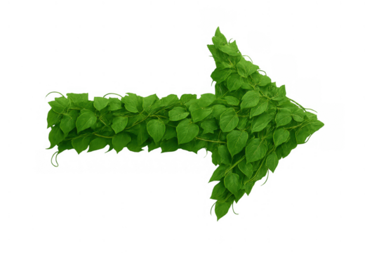 Green arrow pointing right representing environmental progress, growth, ecology, nature, sustainability, and eco-friendly direction