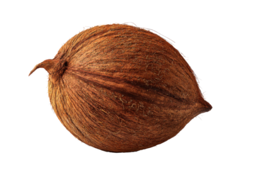 Whole brown coconut with fibrous husk and pointed end on black background fruit food, Png, Isolated on Transparent Background, Cut Out