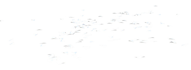 Scattered White Geranium petals, low angle ground view
3D illustration