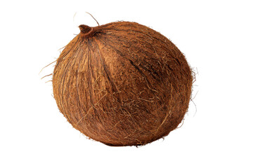 Whole brown coconut with fibrous husk and stem against black background image, Png, Isolated on Transparent Background, Cut Out
