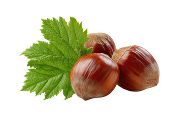 Three whole hazelnuts with green leaf on black background food ingredient 1, Png, Isolated on Transparent Background, Cut Out