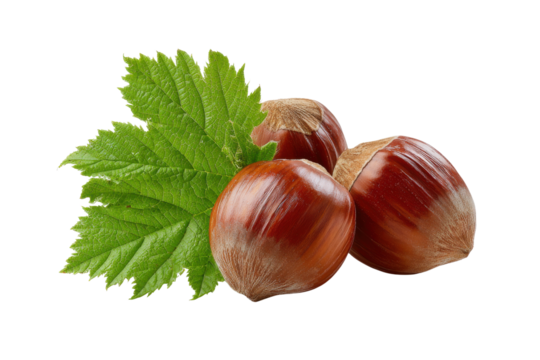 Three whole hazelnuts with green leaf on black background food ingredient 1, Png, Isolated on Transparent Background, Cut Out