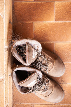Boots with Spiderwebs