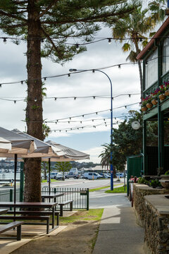 Festoon lights outside a bar and cafe.