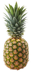 fresh pineapple isolated on white background.