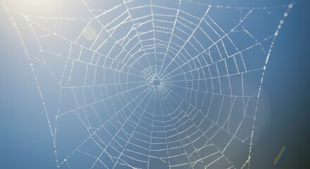Fototapeta premium Delicate spiderweb glistens with dewdrops against a soft blurred blue background evoking nature's