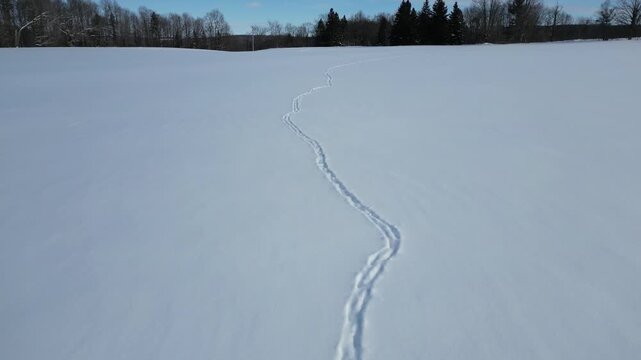 Survol d'empreintes d'animaux dans un immense champ de neige - Overview of animal tracks in a vast snowfield