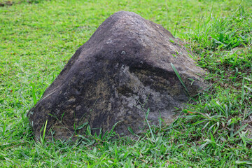 A large rock among a stretch of green grass, photographed from close range