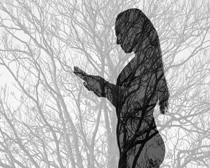 Fototapety na wymiar - Fototapeta24.pl