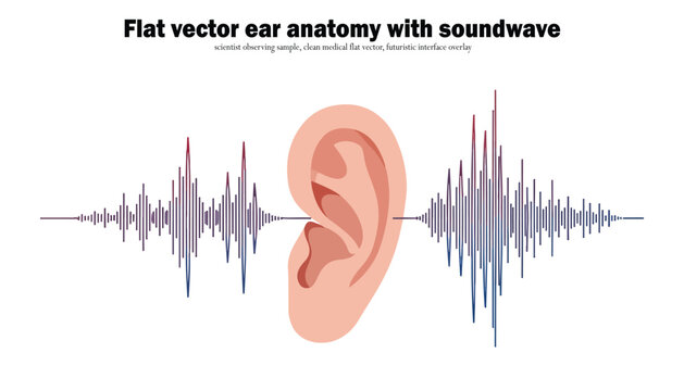 Illustration of a human ear with soundwaves emanating from it, showcasing anatomy and the concept of hearing.