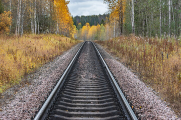 Railway line in the forest.
