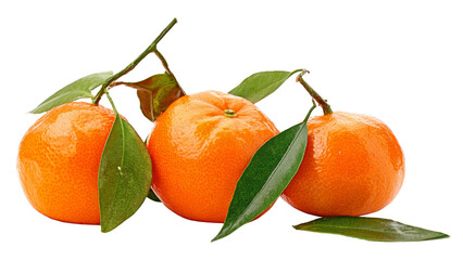 three fresh tangerines with leaves on white background.