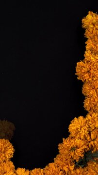Cempasuchil flowers forming frame for day of the dead celebration