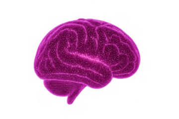 Purple brain glowing, showcasing concepts of intelligence, thinking, memory, and technology with a transparent background