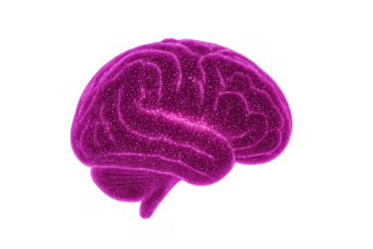 Purple brain glowing, showcasing concepts of intelligence, thinking, memory, and technology with a transparent background