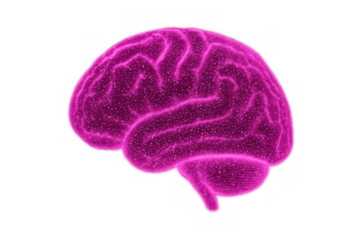Digital brain structure composed of glowing pink particles, symbolizing advanced technology, mind power, data processing, and innovation