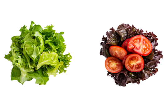 Two Salads Side by Side PNG