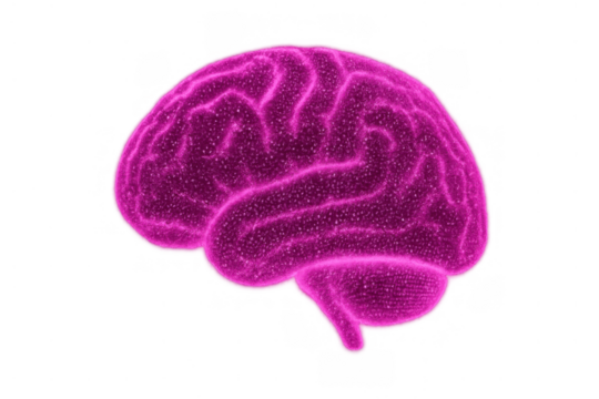 Digital brain structure composed of glowing pink particles, symbolizing advanced technology, mind power, data processing, and innovation