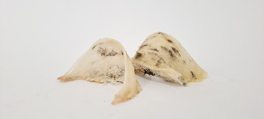 Top view of the nest of Edible-Nest Swiftlet, raw edible bird's nest materials for tradition...