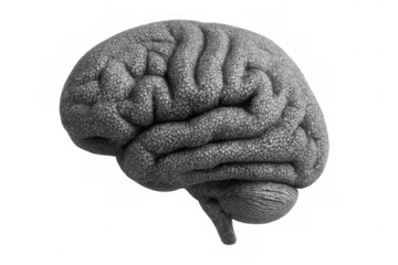 Knit brain representing intelligence, memory, and comfort in education and mental health concepts