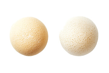 Comparison of Two Yeast Cells PNG