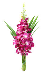 Orchids tied together with fragrant pandan leaves. isolated on white background.