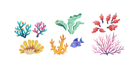 A colorful collection of underwater plants and a small fish, showcasing the beauty and diversity of marine life