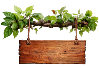 Wooden signboard hanging on branch with green leaves, isolated on a transparent or white background
