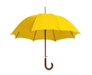 Bright yellow umbrella, handle and ribs