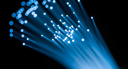 Macro Close-Up of Glowing Fiber Optic Cables 