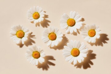 Inspiring Premium Summer Daiseis Joyful Nature Marketing Content for Lifestyle Branding and Authentic Social Media