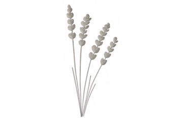 Dried pampas grass bouquet creating an elegant neutral decoration with natural boho style on transparent background