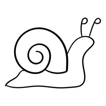 Snail