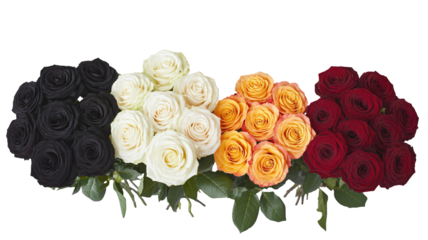 Vibrant bouquets of black, white, orange, and red roses offer stunning floral variety