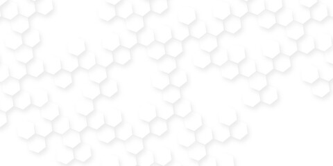 Abstract geometric background white surface with hexagonal, concrete tiles creating a textured pattern, design for technology and medical science, technology vector abstract background with hexagon.