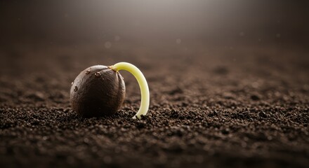 Sprouting seed in fertile soil with emerging green shoot in soft focused background