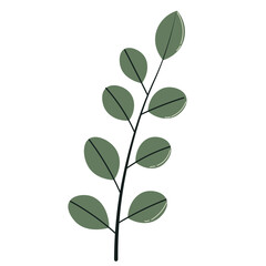 Simple dark green leafy branch, perfect for clean, modern, or botanical-themed decoration and layout designs.