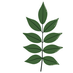 Layered green leaves in dark and light tones, suitable for artistic, abstract, or nature-inspired visual projects.