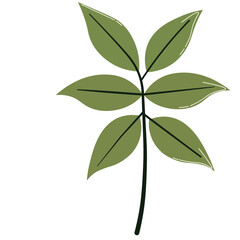 Symmetrical green leaf group with smooth edges, great for balanced, minimalist, or Scandinavian-style design.