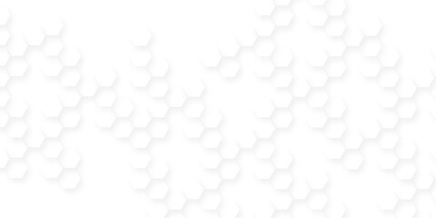Abstract white hexagon concept soft white background, white and gray hexagon honeycomb geometric copy space, hexagonal grid tile and mosaic structure mess cell.