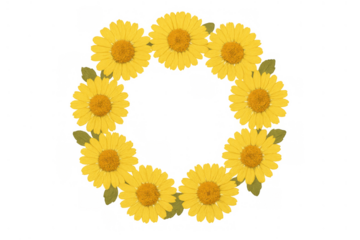 Yellow daisy flowers forming a circular wreath frame, vibrant floral spring and summer season concept, transparent background